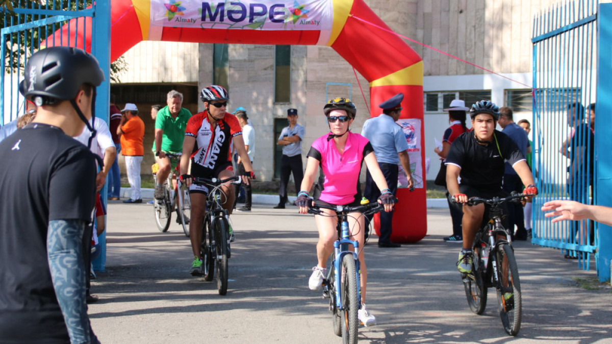  из открытых источников 