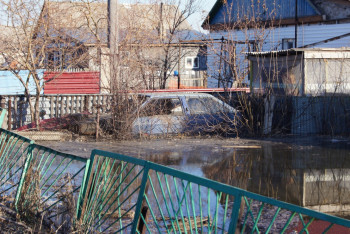 Фотография к новости: Талыми водами в поселке Чкалова затопило десятки домов