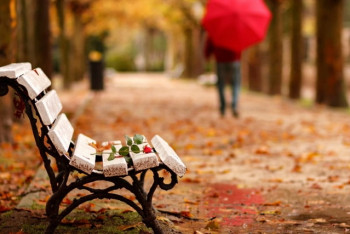 Фотография к новости: Во вторник казахстанцев ожидают небольшие осадки