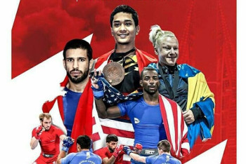 Фотография к новости: Номады против Викингов: Казахстан принимает вызов