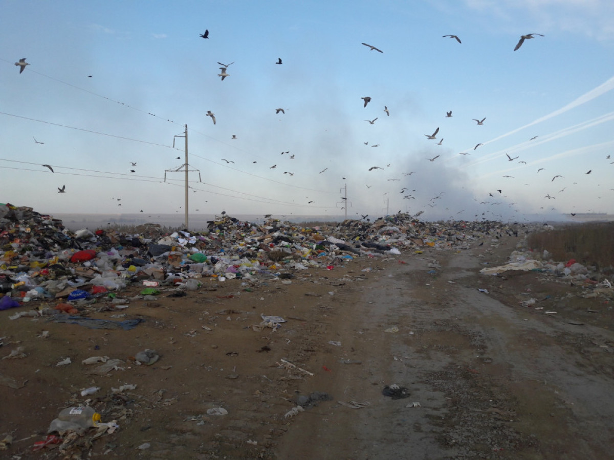  Сергей Романов