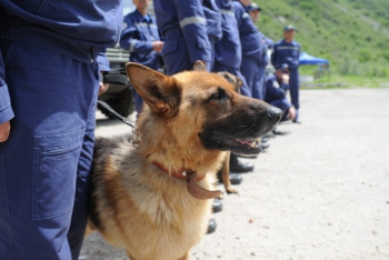 Фотография к новости: Подробности исчезновения 26-летнего мужчины в горах рассказали в ДЧС ЮКО