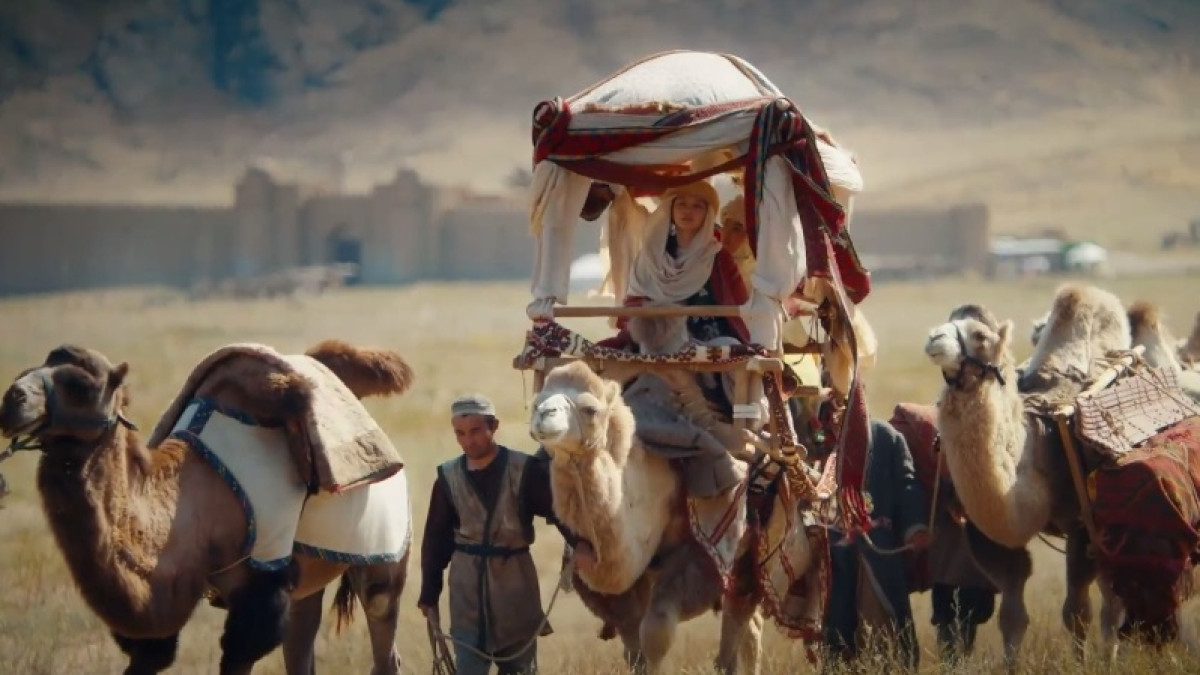  скриншот с видео в Facebook