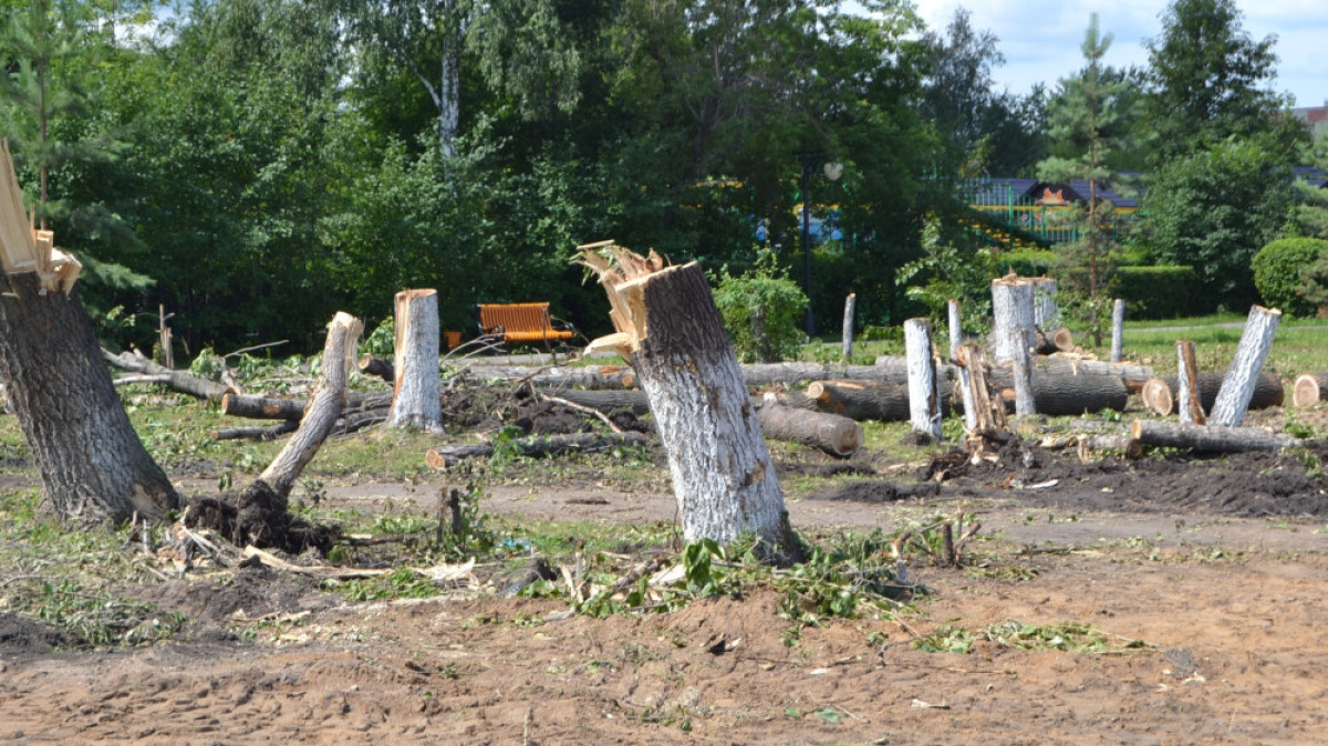  Светлана Боярская