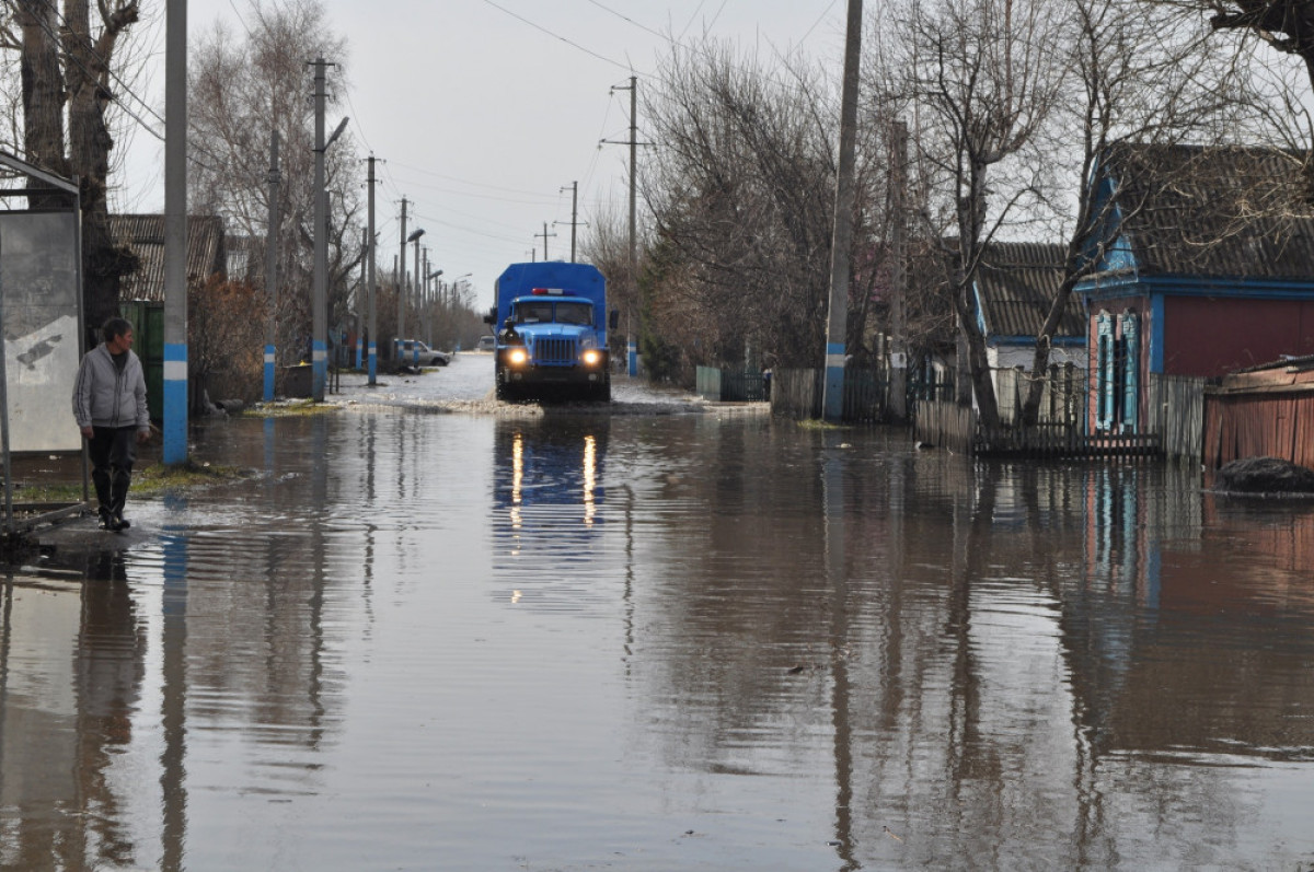  Светлана Боярская