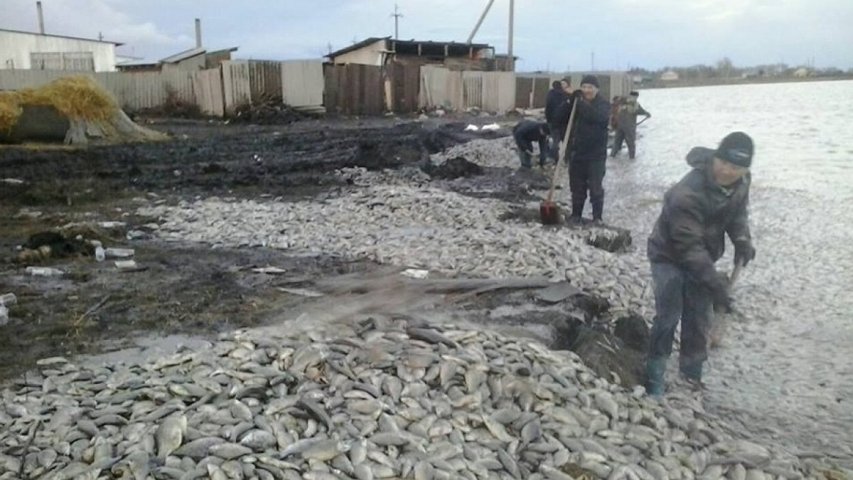  Из открытых источников 