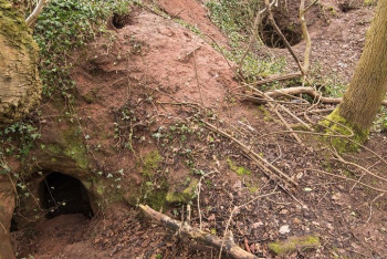 Фотография к новости: В Англии кроличья нора оказалась входом в древний храм тамплиеров