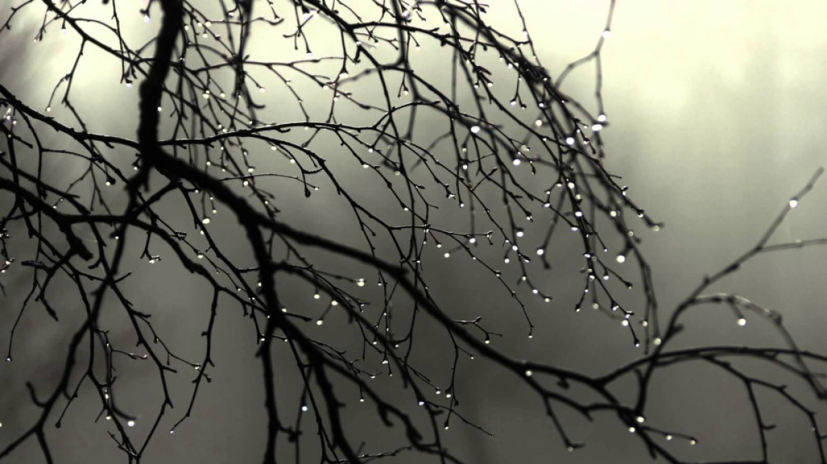  Cyber Space And Time