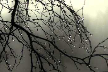 Фотография к новости: В среду на большей части Казахстана ожидаются осадки