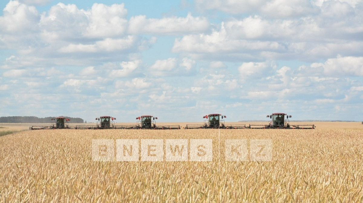  Асель Турар