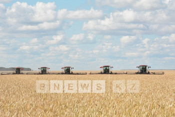 Фотография к новости: Акмолинские аграрии завершают уборку урожая