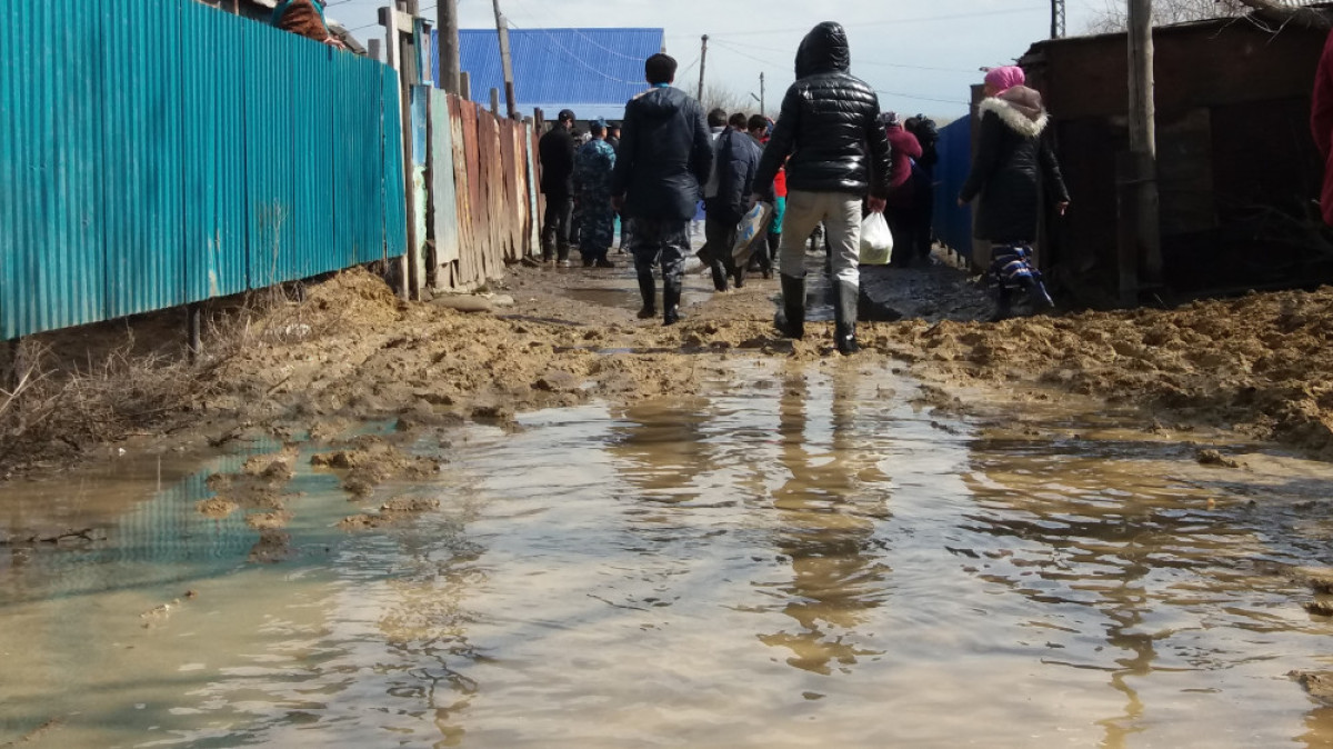  Раяна Кульбекова