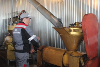 Фотография к новости: Увеличить выпуск льняного масла планирует предприниматель из СКО 