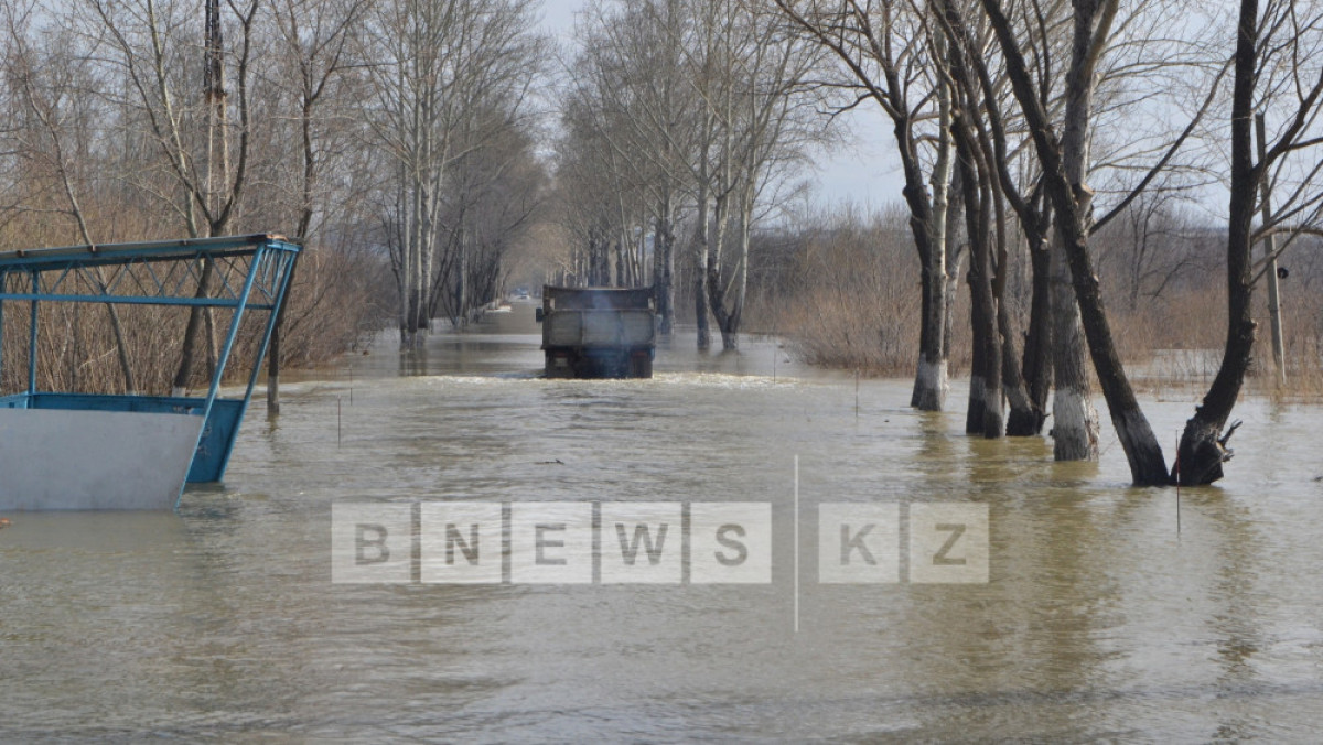  Светлана Боярская