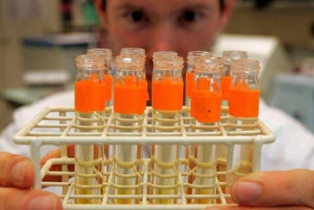 Фотография к новости: WADA разрешило спортсменам пить и легализовало синтетический каннабидиол