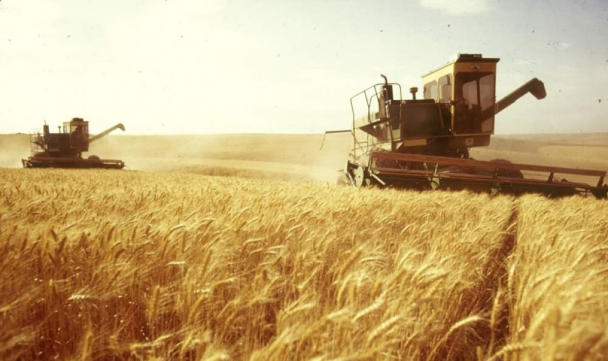  Из открытых источников