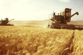 Фотография к новости: Карты развития сельского хозяйства разработают в каждом регионе Казахстана 