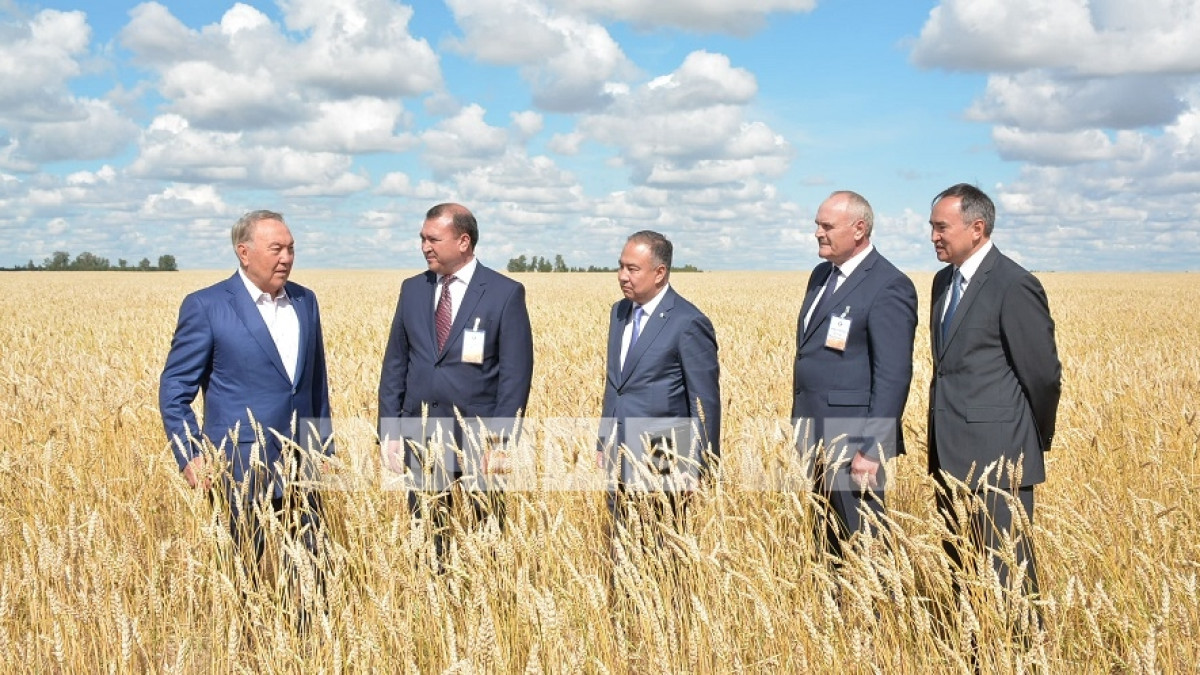  Асель Турар