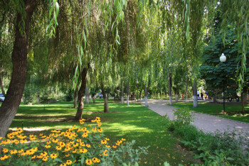 Фотография к новости: Новые районы Алматы будут активно озеленять 