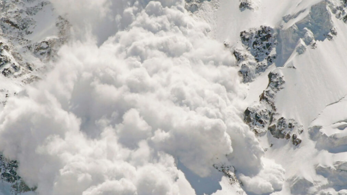  из свободных источников 