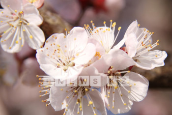 Фотография к новости: В выходные дни казахстанцев ожидает потепление