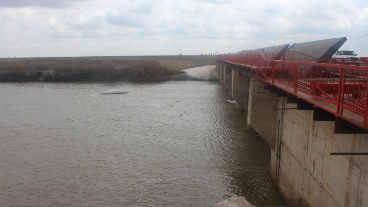  пресс-служба УВП области