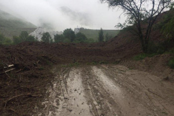 Фотография к новости: В Алматинской области сошел оползень