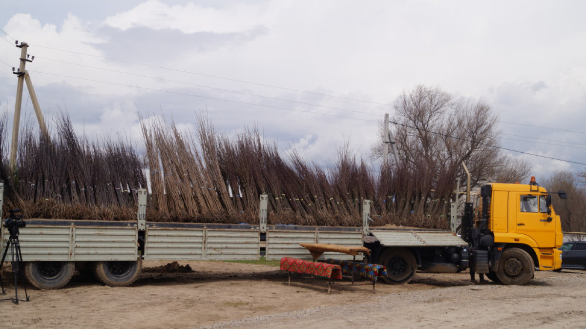  Мария Захарова