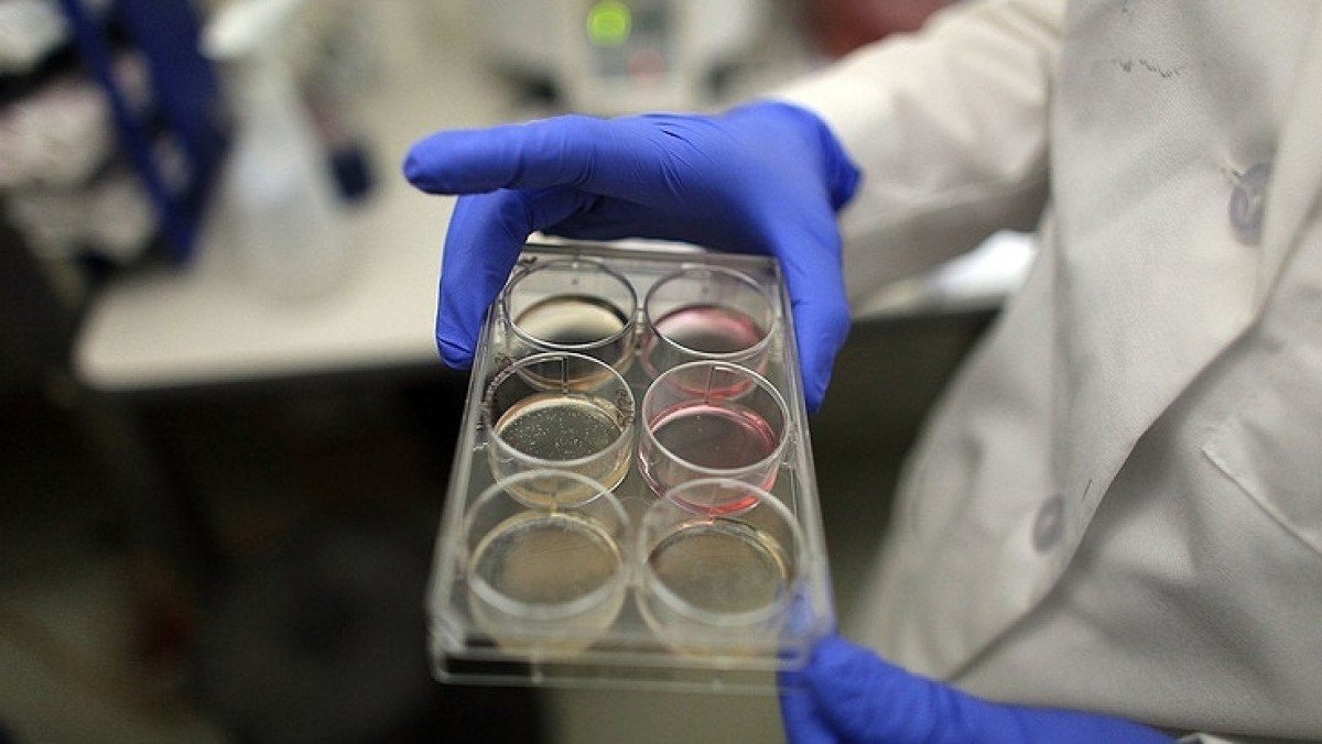  © Spencer Platt/Getty Images, архи