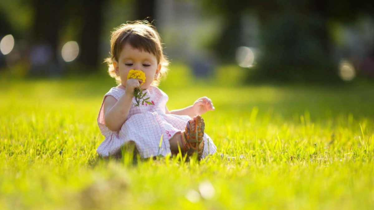  pocketfullofgrace.com