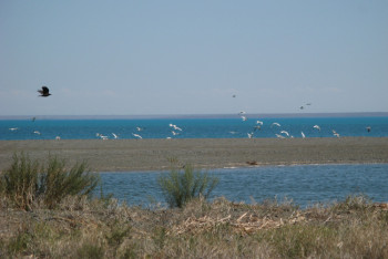 Фотография к новости: Пропавших неделю назад рыбаков ищут на Балхаше