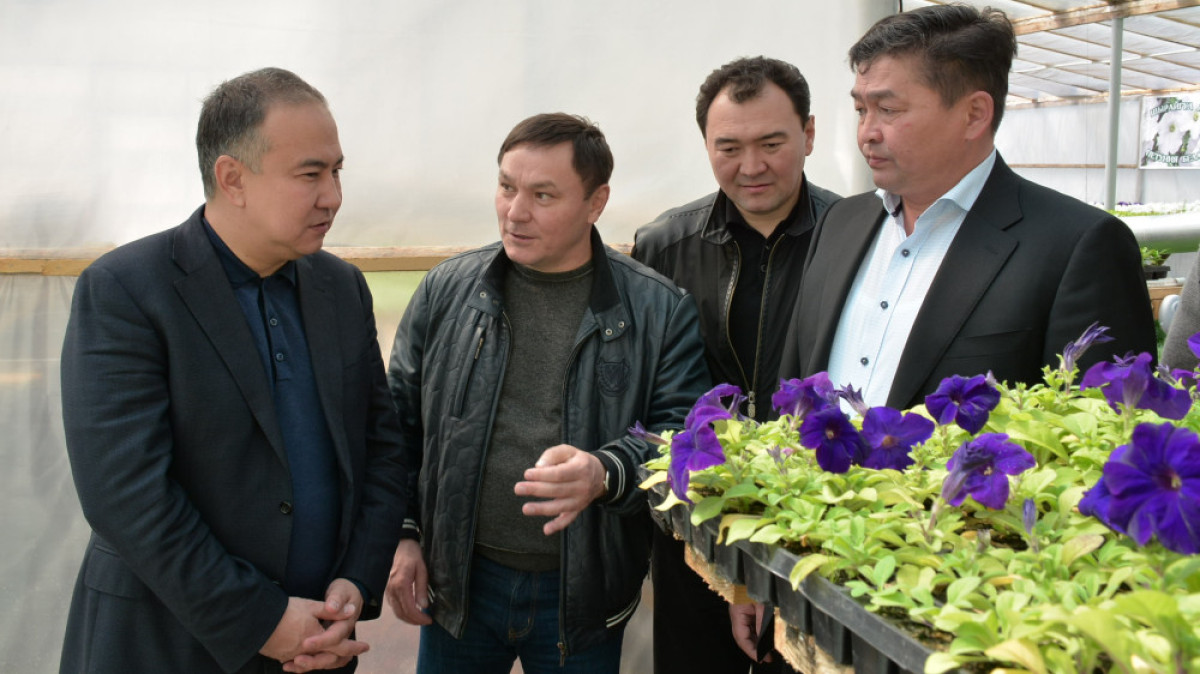  пресс-служба акимата области