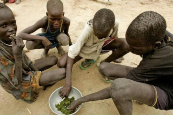 Фотография к новости: Казахстан призвал обеспечить доступ организациям для доставки продуктов голодающим жителям Ю.Судана