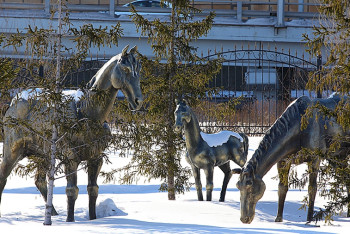 Фотография к новости: 6 января погода в Казахстане обещает быть пасмурной с осадками