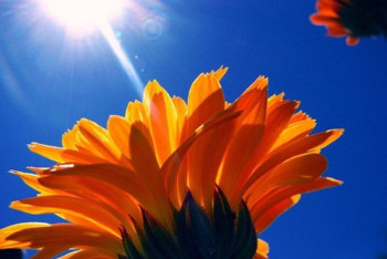 Фотография к новости: Понижение температуры воздуха обещают синоптики в ближайшие дни