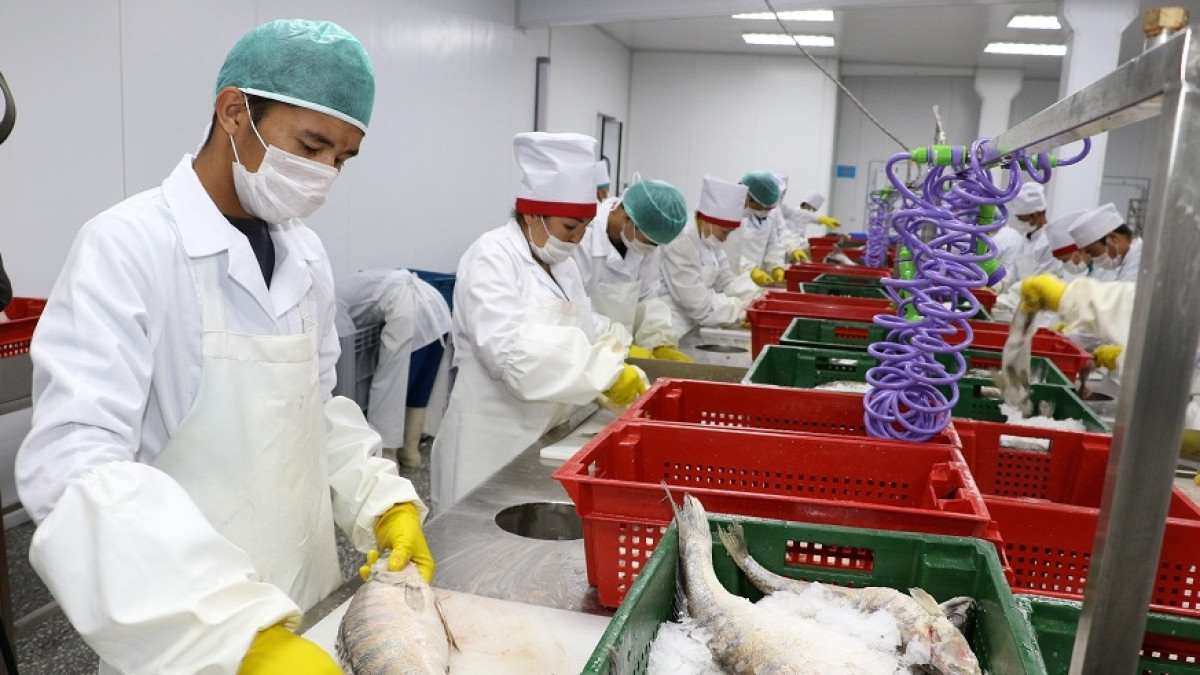  Марьяна Касимова