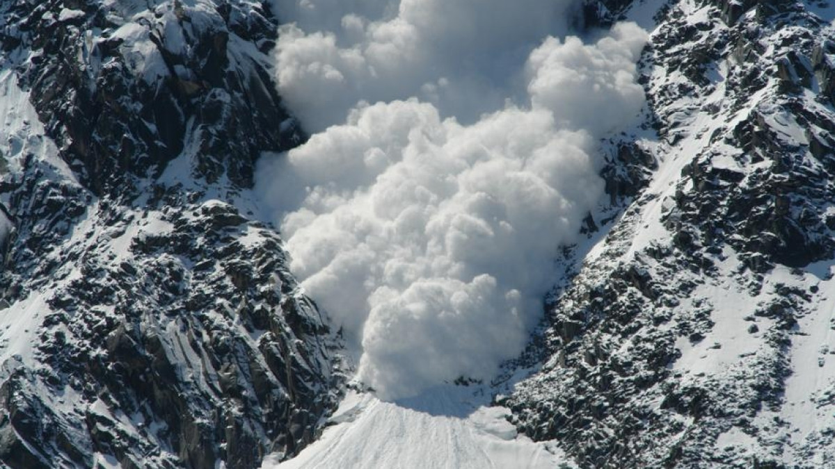  из свободных источников 