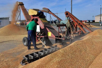 Фотография к новости: В Западном Казахстане собирают рекордный урожай