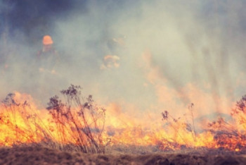 Фотография к новости: В «Роскосмосе» назвали причины пожара, в котором погиб казахстанец
