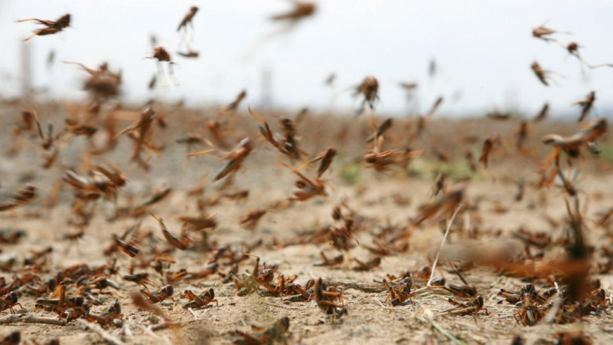  Из открытых источников 