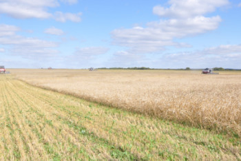 Фотография к новости: Премьер-министр РК прибыл с рабочей поездкой в Акмолинскую область