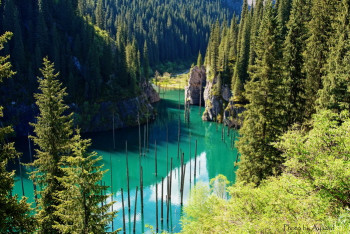 Фотография к новости: Единую базу курортов и туробъектов Казахстана создадут в Алматы