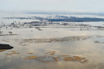 Фотография к новости: Река Есиль вышла из берегов на 9 километров