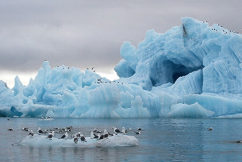 Фотография к новости: Ученые выяснили, когда Арктика станет полностью свободной ото льда
