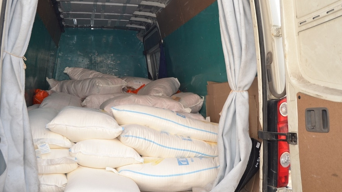  Светлана Боярская 