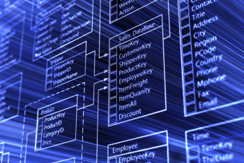 Фотография к новости: В сети обнаружили гигантскую базу данных интернет-пользователей