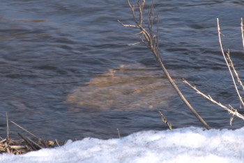 Фотография к новости: Известны подробности гибели людей во время паводка в Карагандинской области