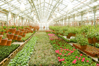 Фотография к новости: Польские бизнесмены инвестируют 25 млн евро в строительство теплицы под Астаной