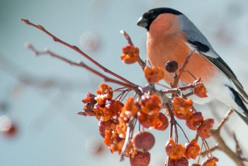 Фотография к новости: В предстоящие выходные в Казахстане ожидается переменчивая погода