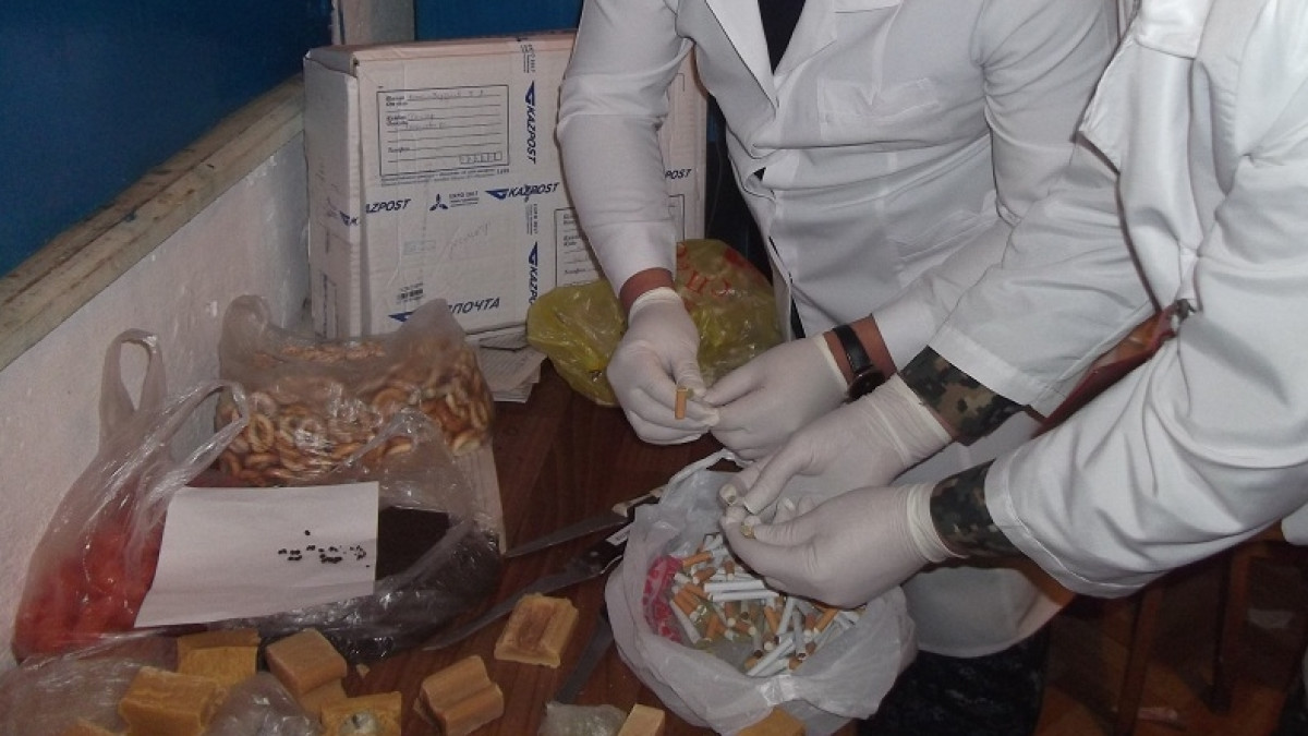  пресс-служба КУИС